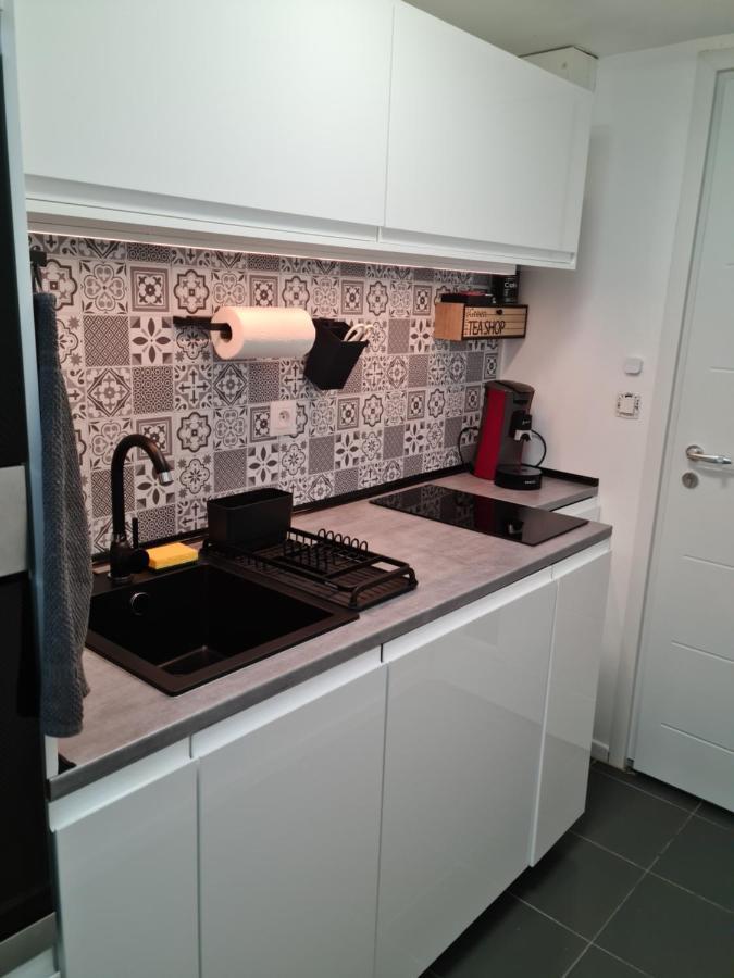 Un Appartement Qui A Du Chien Épernay Eksteriør bilde