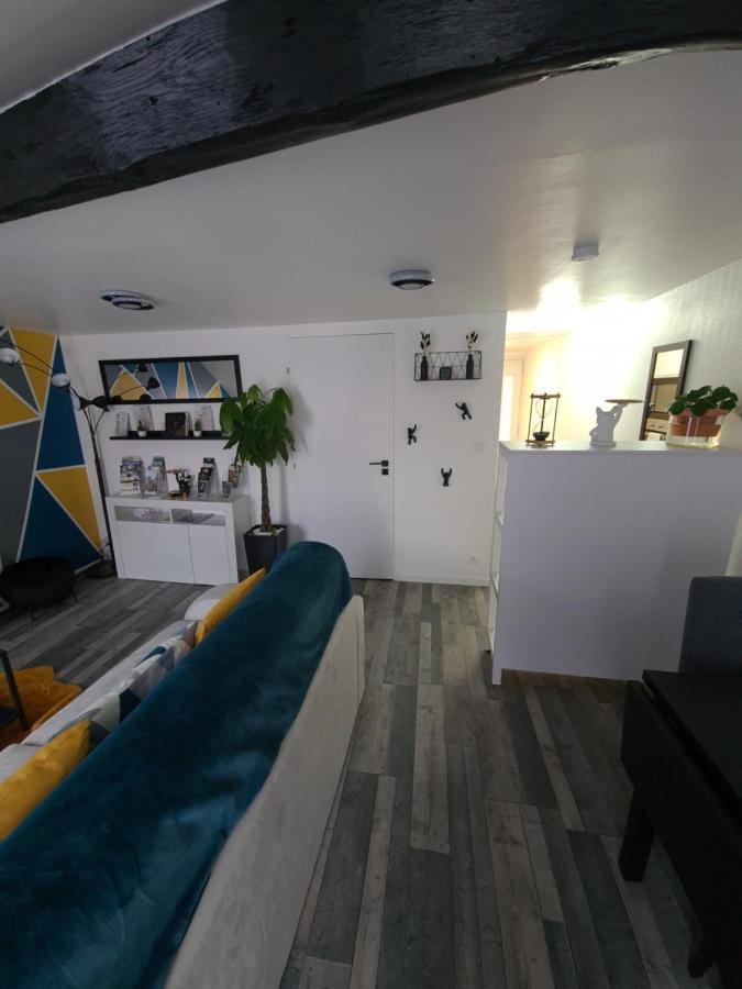 Un Appartement Qui A Du Chien Épernay Eksteriør bilde