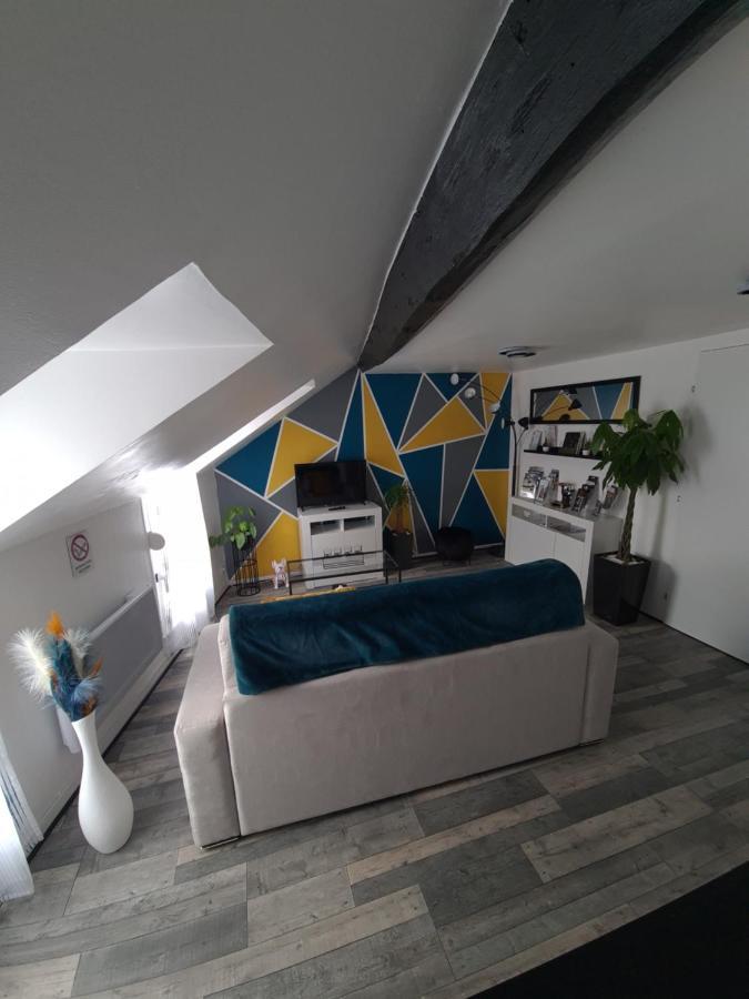 Un Appartement Qui A Du Chien Épernay Eksteriør bilde